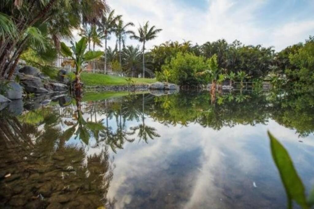 Apartamento Bien Situado - Buenas Conexiones Santa Cruz de Tenerife Exteriér fotografie