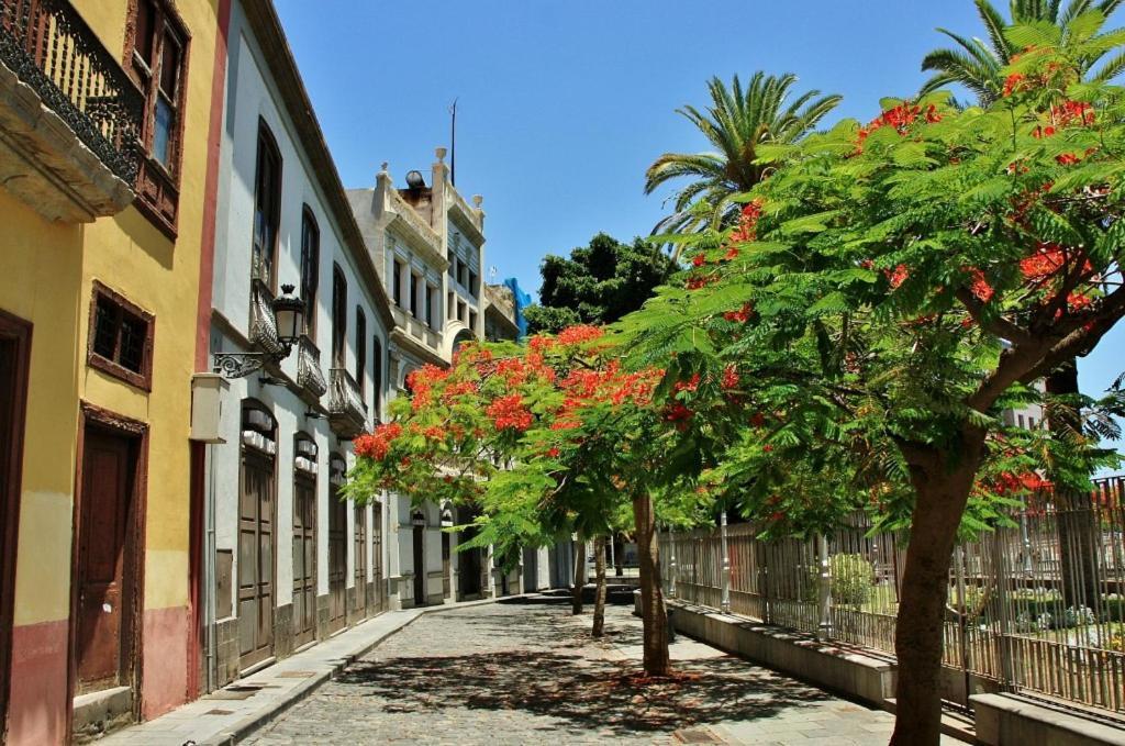 Apartamento Bien Situado - Buenas Conexiones Santa Cruz de Tenerife Exteriér fotografie