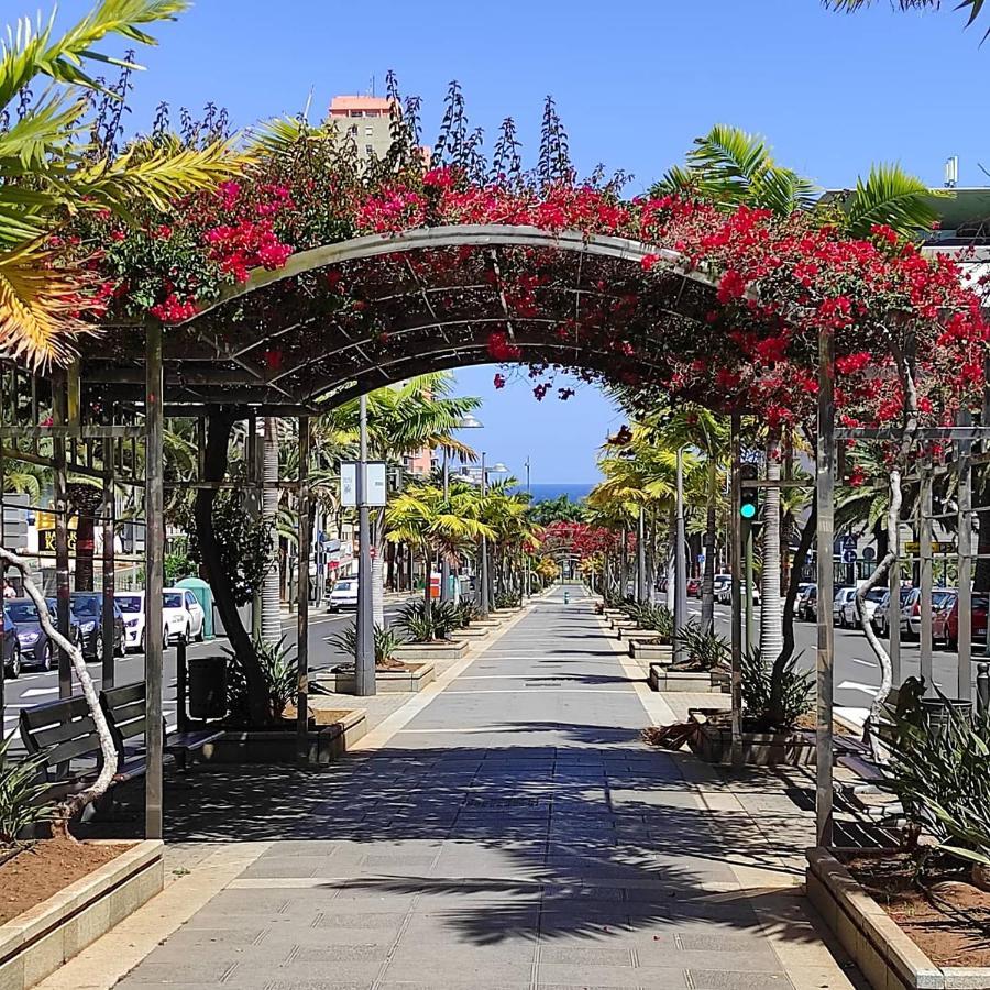 Apartamento Bien Situado - Buenas Conexiones Santa Cruz de Tenerife Exteriér fotografie